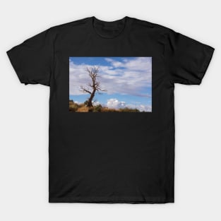 Bare tree T-Shirt